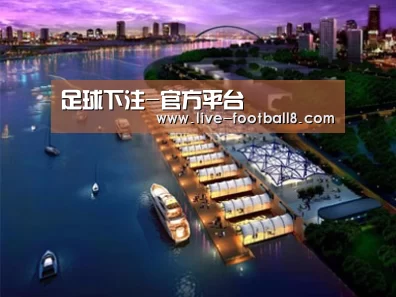 案例展示八