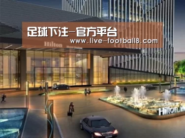 案例展示二